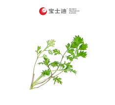 3787B艾葉艾草香精（jīng）
