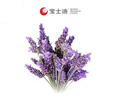 3963法國薰衣草香精