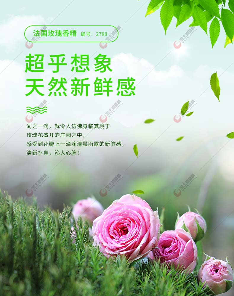 法國（guó）玫瑰香精超乎想象天（tiān）然新鮮感