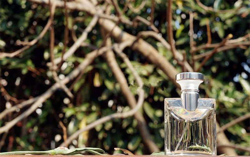 寶格麗綠茶古龍(lóng)水 寶格麗綠茶古(gǔ)龍水