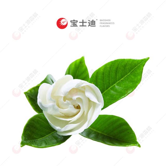 梔子花香香精