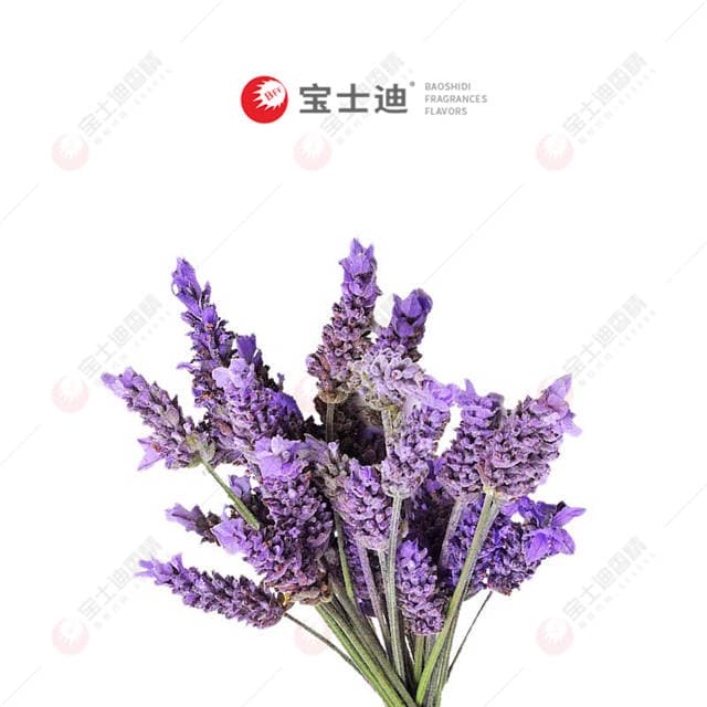 法國（guó）薰（xūn）衣（yī）草香（xiāng）精