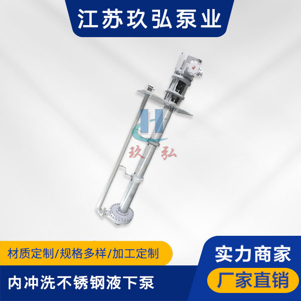 LY內衝洗不鏽鋼長軸（zhóu）液（yè）下泵(圖1)