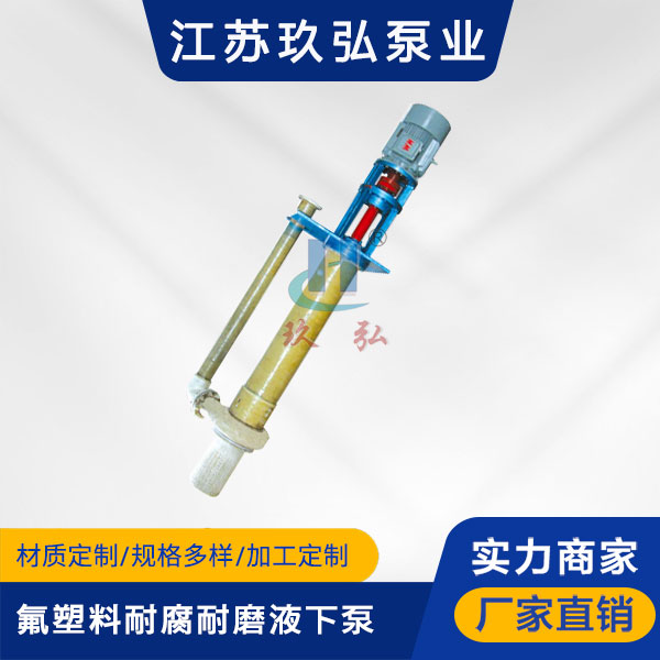 FYU常規耐腐耐磨液（yè）下泵(圖1)