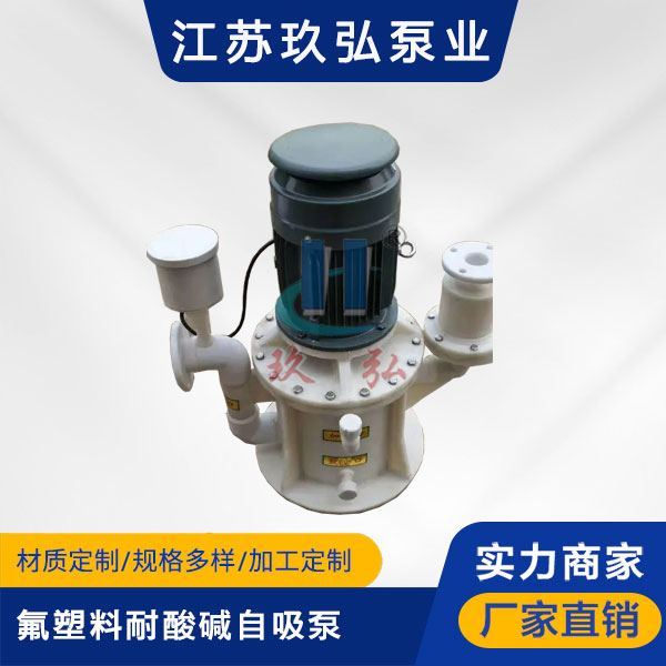 WFB氟塑料耐酸堿型自（zì）控自吸泵(圖1)
