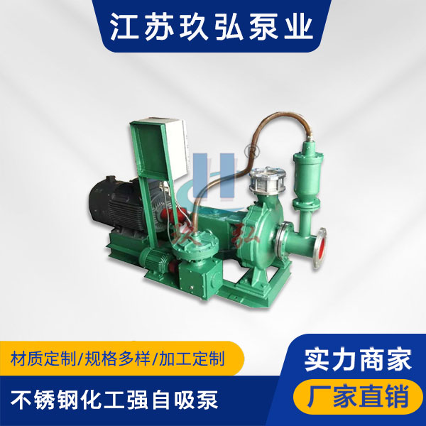 TZFB不鏽鋼石油化工強自吸泵(圖1)
