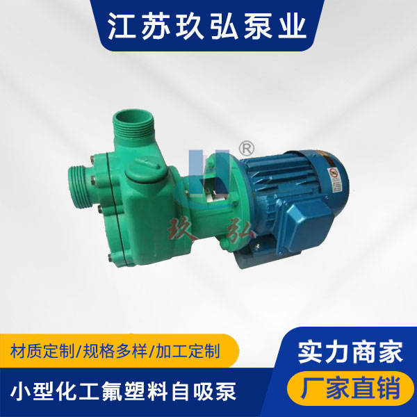 102小型化工氟塑料自吸泵(圖1) 102小型化工氟塑(sù)料自吸泵(圖1)