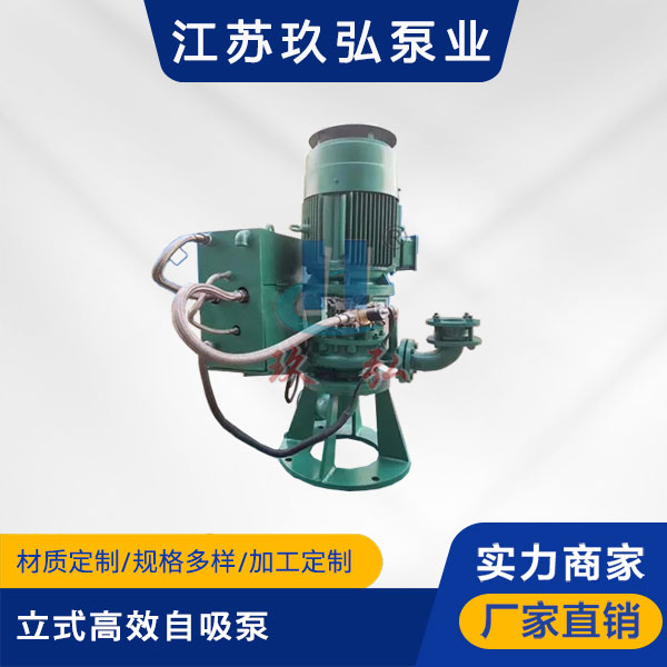 GLB立式高效自吸泵(圖1) GLB立(lì)式高效自吸泵(圖1)