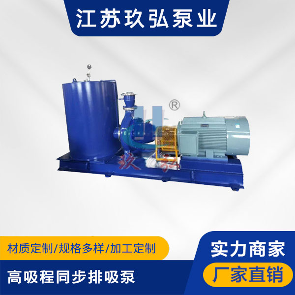 TBFB高吸程（chéng）同步排（pái）吸泵(圖1)