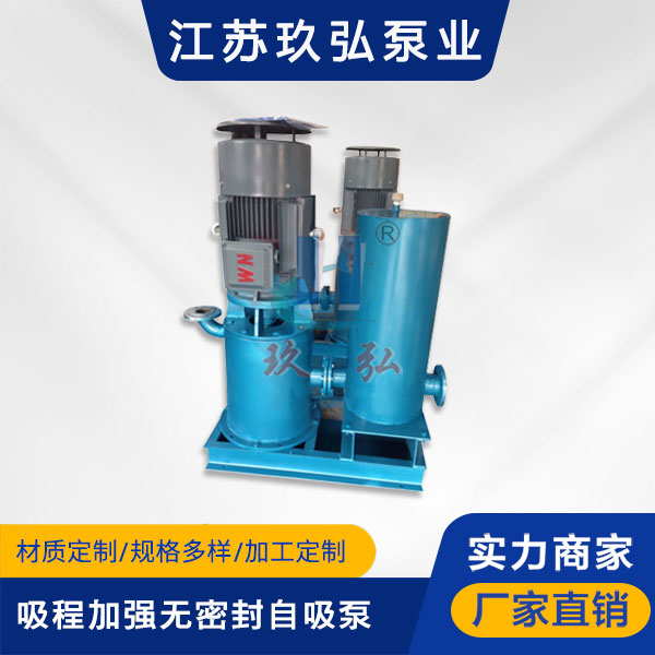 WFB吸程加強型無密封自（zì）吸泵(圖1)