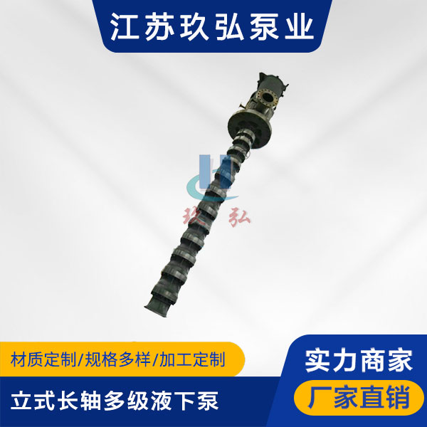 HLC立式長軸多級液下泵(圖1)