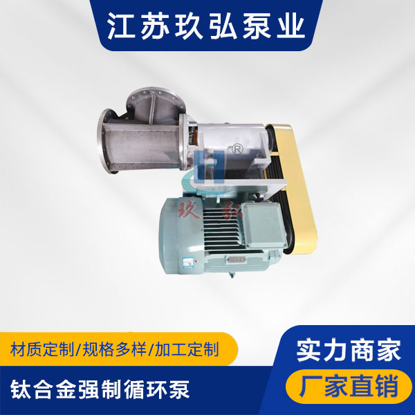 FJX-Ⅱ型鈦合金強（qiáng）製循環泵(圖1)