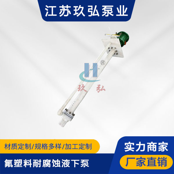 FYS氟塑（sù）料耐腐蝕（shí）液下泵(圖1)