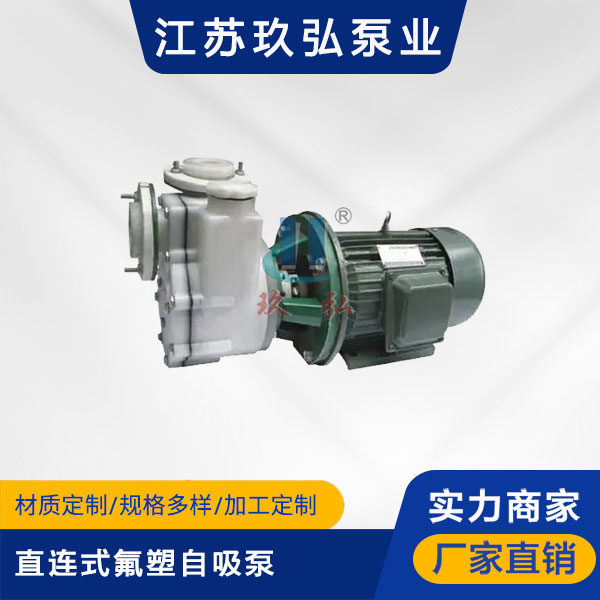 FZB-Ⅱ直連式氟塑自吸泵(圖1) FZB-Ⅱ直連式氟塑自(zì)吸泵(bèng)(圖1)