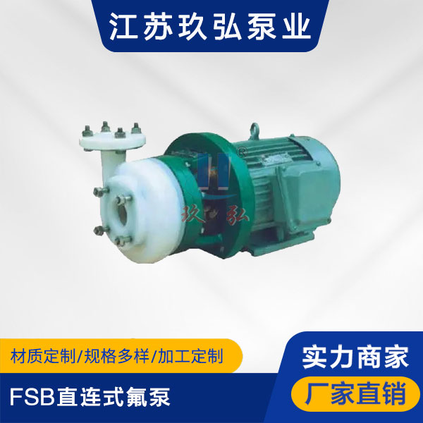 FSB直連(lián)式氟泵(圖1) FSB直連式氟泵(圖1)