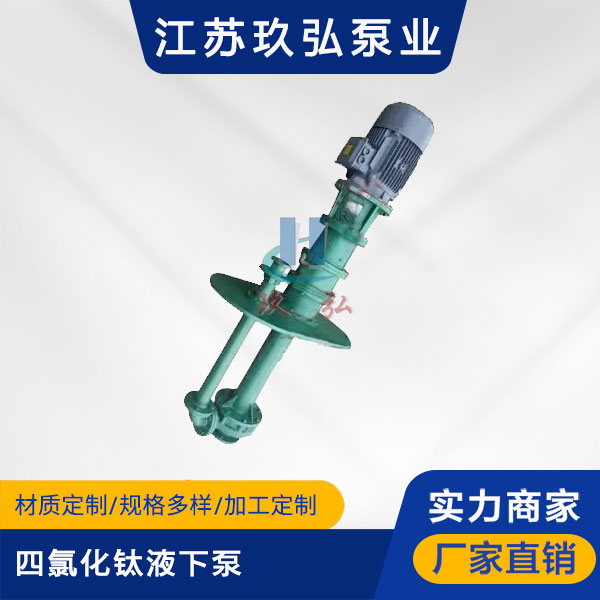 HYT四氯化鈦液下泵（機（jī）械密封（fēng））(圖1)