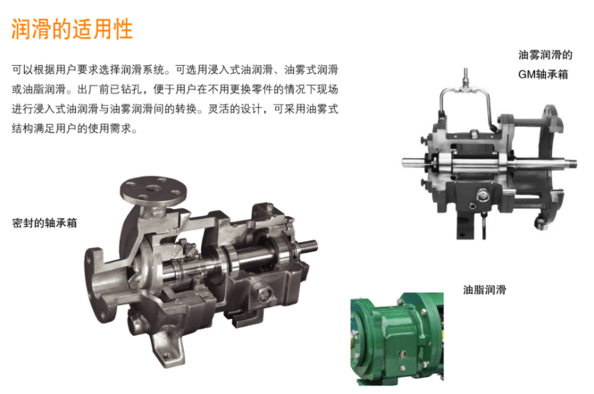G係列（liè）ANSI標準化工流程泵(圖5)