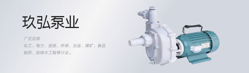 氟塑（sù）料自吸泵