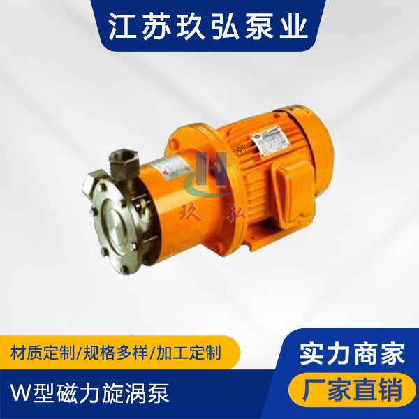 W型磁力旋渦（wō）泵(圖1)